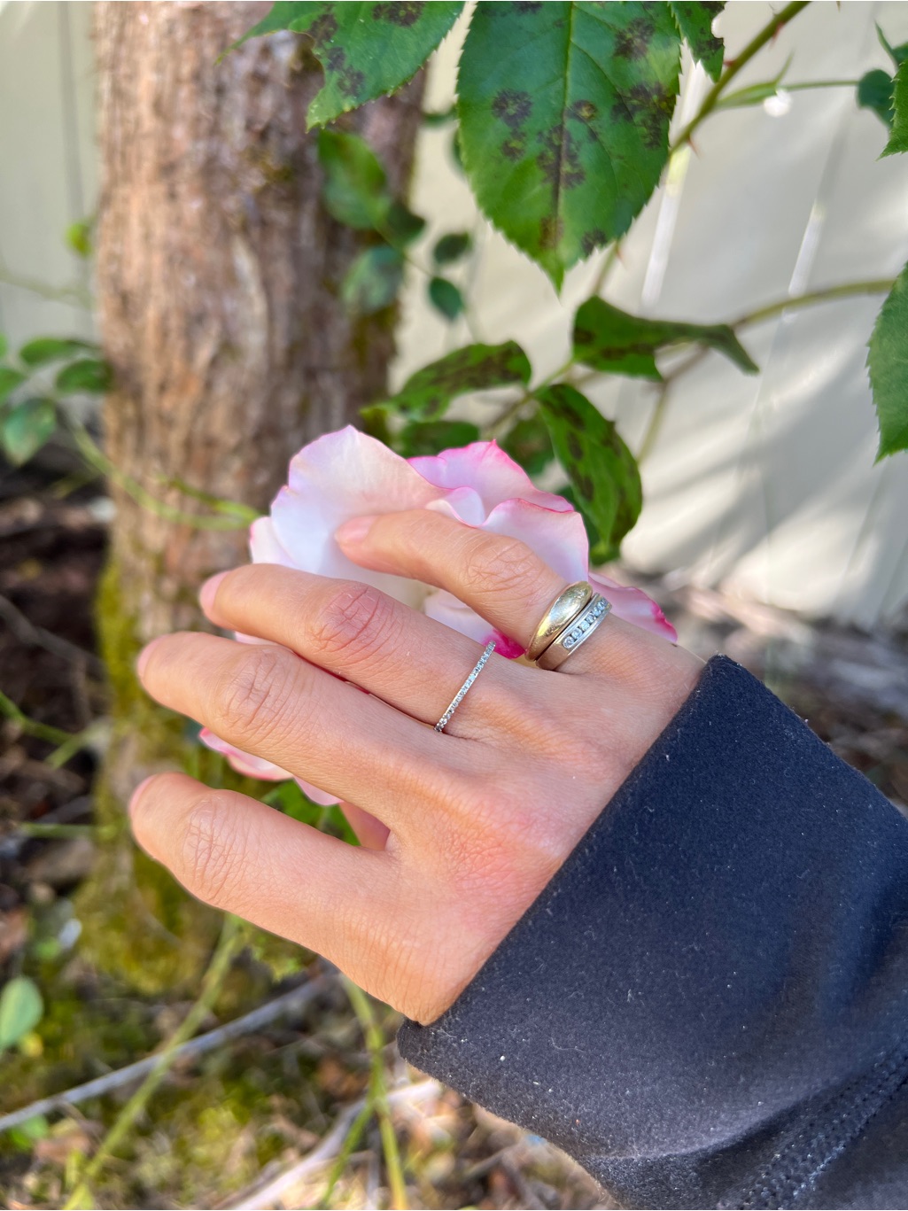 18k White Gold Diamond Petite Ring